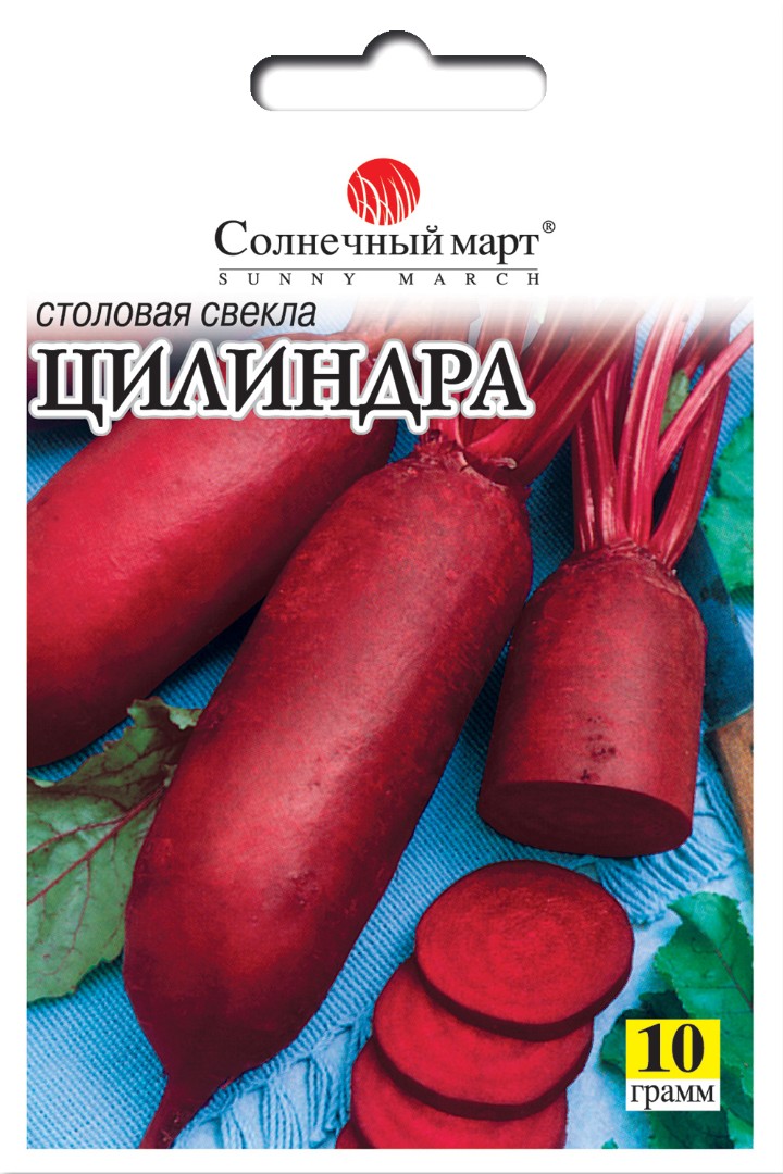 Свекла Цилиндра